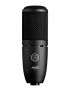 Microfone de Estúdio AKG P120
