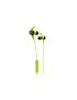 Auricular inEar BT  iSport Victory Verde (Outlet - D)